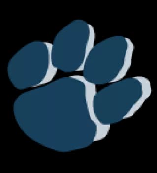 2. Erstelle den persönlichen Pfotenabdruck deiner Fellnase in der PetHearts App.