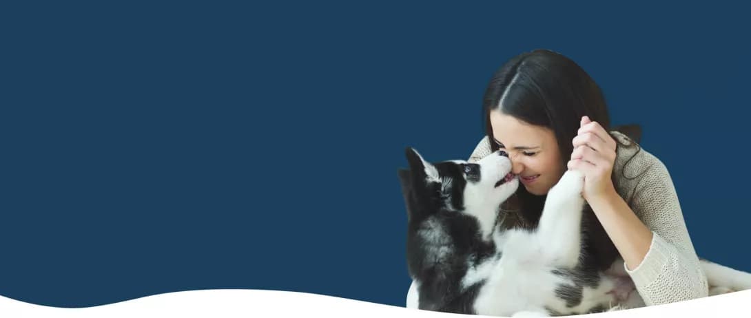 Persönliche und individuelle Beratung in Kombination mit tollen Produkten für deinen Hund